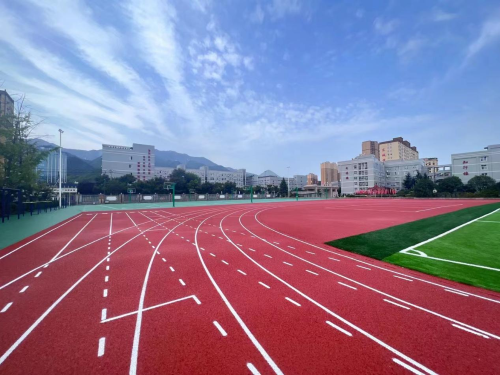 怎样的塑胶跑道比较经久耐用？